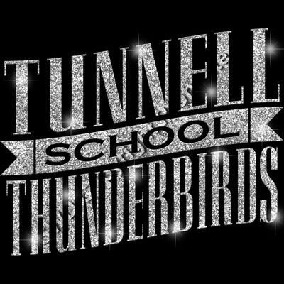 GLT57 SILVER GLITTER Thumbnail